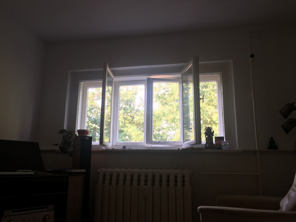 Online-Satsang mit Lars